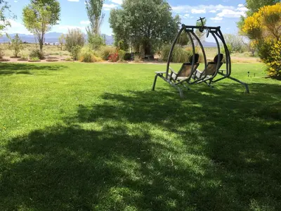a swing in a field of green grass at Shady Lady Bed and Breakfast in Scottys Junction