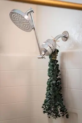 a shower with a shower head with a plant in it at The Deco Retreat - UNR - Pet Friendly in Reno