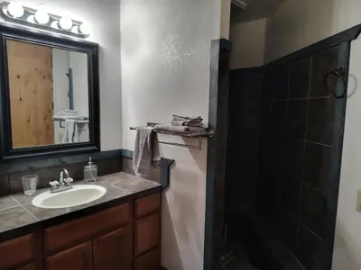a bathroom with a sink and a mirror and a shower at Dew Drop Inn Kings Canyon National Park in Miramonte
