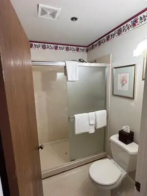 a bathroom with a shower with a toilet and a sink at Boutique Retreat in Wine & Gold Country in Placerville