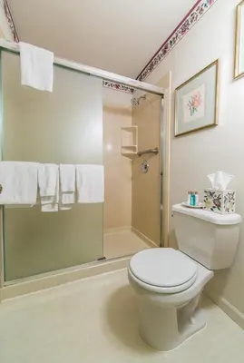 a bathroom with a toilet and a shower at Boutique Retreat in Wine & Gold Country in Placerville