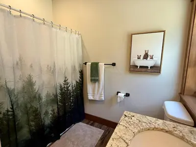 a bathroom with a shower curtain and a sink at Black Bear Bungalow in White Wolf