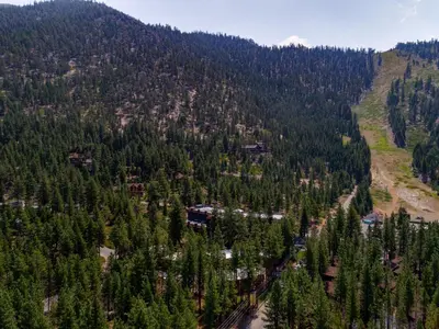 an aerial view of a forest of trees at Heavenly Valley Townhouses in South Lake Tahoe