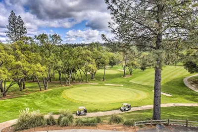 an overhead view of a golf course with two golf carts at Mtn Views and Game Room Family Retreat in Groveland in Groveland