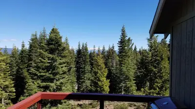a view of a forest of trees from a house at Goetzl By Hauserman Rentals in Tahoma