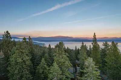 an aerial view of a forest of trees at sunset at Grainger By Hauserman Rentals in Tahoe City