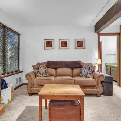 Cozy Condo with Fireplace - Tamarack 3