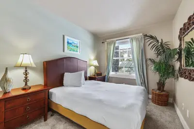 a bedroom with a bed and a plant and a window at Spacious Elegance-Kirkwood-Timber Ridge 3 Bedroom residence in Kirkwood