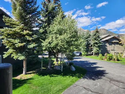 a person sitting under two trees in a yard at Snowcreek Resort Vacation Rental 934 in Mammoth Lakes