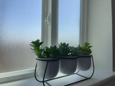 two potted plants sitting on a window sill at Cozy Entire Home Gateway to Sequoia Pet Friendly in Visalia