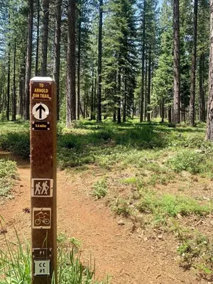 a sign on a trail in a forest at Cozy Chic Chalet - Enchanting & Fun Family Retreat - Hot Tub & Fire Pit - Dog Friendly in Dorrington