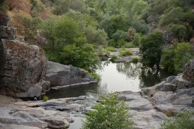 a river with rocks and trees in a forest at Buckeye Basecamp-Events-Family Friendly-Creek in Sonora