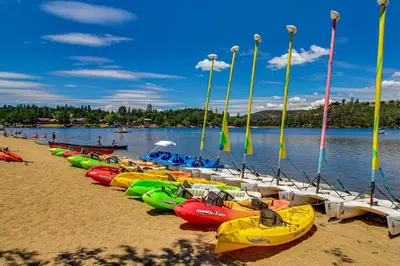 a row of kayaks lined up on a beach at Paradise Place in Groveland