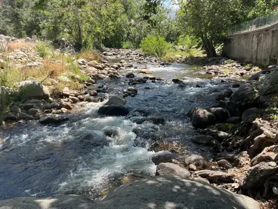 a stream of water with rocks and trees on the side at Riverfront with EV charger - Sequoia River Cottage in Three Rivers