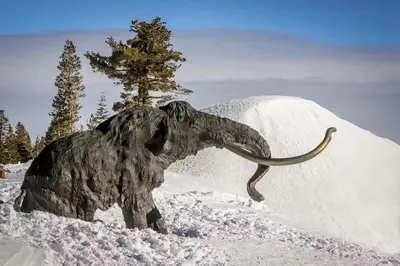 a statue of an animal in the snow at Sierra Park Villas 84 R in Mammoth Lakes