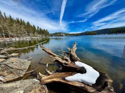 a dead tree in the water with snow on it at Forest View Family Home in Pollock Pines
