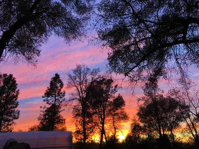 a sunset with trees in the foreground at Blissful Acres hilltop cottage in Grass Valley