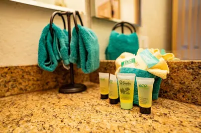 a row of four cups on a counter in a bathroom at Amazing Gem Next to golf course with View- Pool & jacuzzi in Mammoth Lakes
