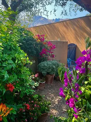a garden with plants and flowers in pots at Heidi's Artistic Abode in Three Rivers