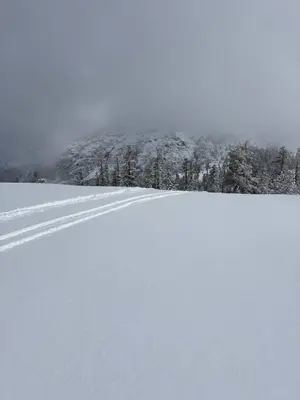 a snow covered field with trees in the background at Woodland Chalet Retreat with Hot Tub in Arnold