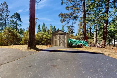 a small shed in the middle of a forest at Dogwood Hollow in Shaver Lake