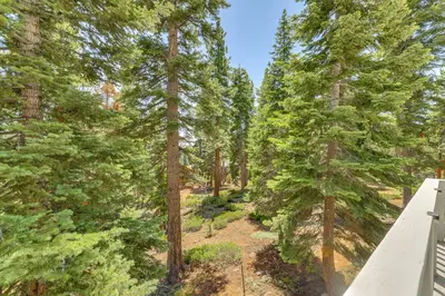 an aerial view of a forest with trees at 3 Mi to Lake Tahoe Forest-View Sanctuary with Deck! in Incline Village