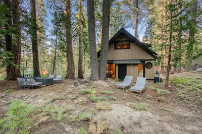 a cabin in the woods with chairs and a tree at Songbird Cabin at Chambers by Tahoe Getaways - Pet-Friendly 2 BR with HOA Access in Homewood
