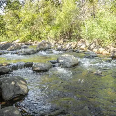 Gateway To Sequoia River House