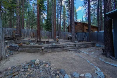 two dogs standing in a yard with a log cabin at Private Woods - Cottage for 4 in South Lake Tahoe