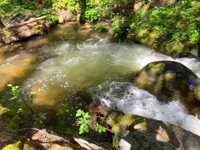 a stream of water with rocks in a forest at Boom Chalet Yosemite in Oakhurst