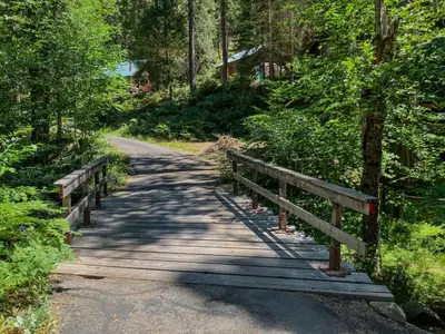 a wooden bridge on a trail in the woods at Boom Chalet Yosemite in Oakhurst