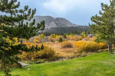 a field with trees and a mountain in the background at 3 Bedrooms + Loft townhome in Snowcreek Phase 3, Private Pool Table Sleeps 6 Guests, Dog Friendly in Mammoth Lakes
