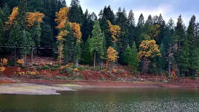 a body of water next to a forest with trees at Country Style Mountain Home - View of Lake Forebay in Pollock Pines