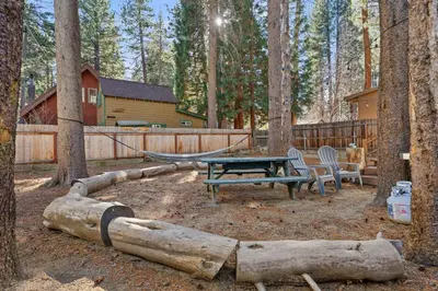 a hammock and a picnic table in the woods at HCH0648 - Larchwood Lodge home in South Lake Tahoe