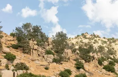 a rocky mountain with trees and rocks on it at Huth Street Haven in Lake Isabella