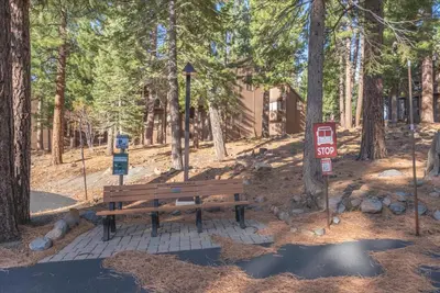 a park bench sitting in the middle of a forest at Indian Hills 6021 townhouse in Truckee