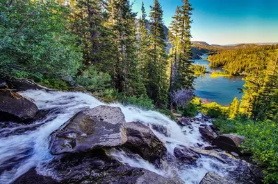 a river in the middle of a forest at Chateau Sans Nom 38 in Mammoth Lakes