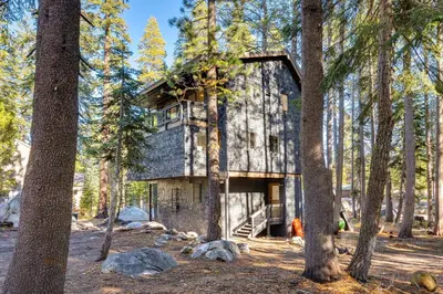a house in the middle of a forest at Ski-InandSki-Out Retreat with Sauna in Bear Valley! in Bear Valley