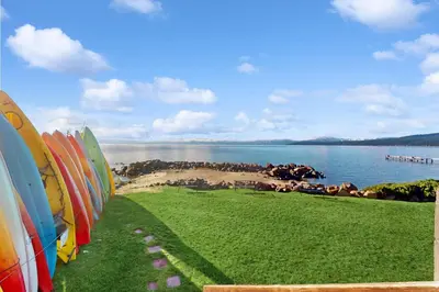 a row of surfboards sitting on the grass near the water at Summit & Shore Chalet in Tahoe Vista