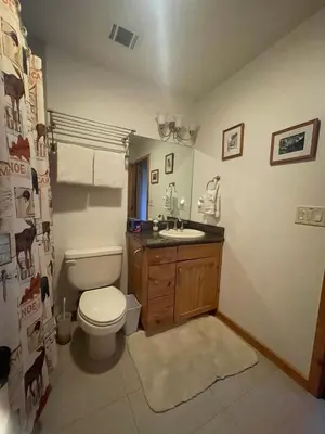 a bathroom with a toilet and a sink at Mountainside Family Chalet in Yosemite West