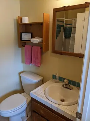 a bathroom with a toilet and a sink and a mirror at Sullivan House & SPA Near Yosemite, 8 Min to Town in Mariposa