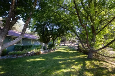 a yard with trees in front of a house at Moonrise Retreat, SPA, Near Yosemite & Bass Lake in Oakhurst