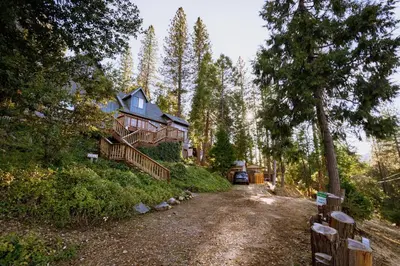 a house in the middle of a forest at Cozy Cabin Near Yosemite & Corlieu Falls in Oakhurst