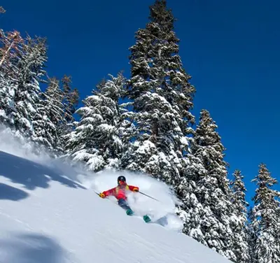 a person skiing down a snow covered slope next to trees at Heavenly Stagecoach Ski Retreat in Stateline