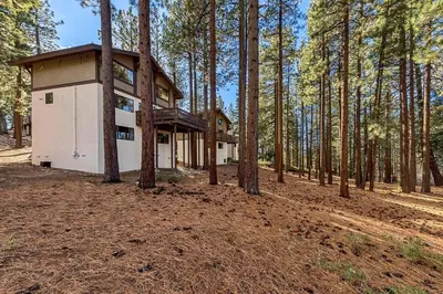 a building in the middle of a forest at 1192 Timber Lane home in South Lake Tahoe