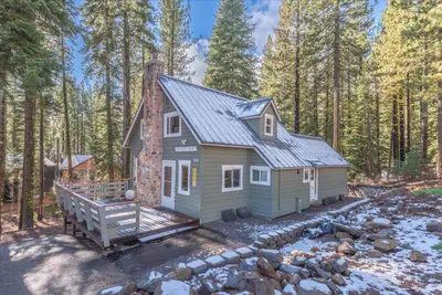a tiny house in the woods with a bench at Fred's Retreat cabin in Homewood
