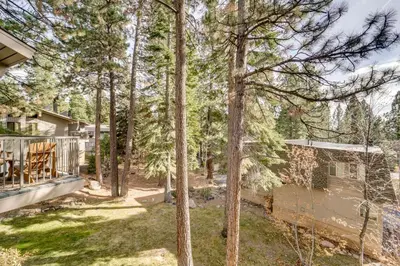 a view of a yard with trees and a house at All-Season Fun! Family Tahoe North Shore Getaway in Incline Village