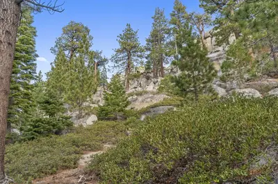 a trail through the trees on the mountain at HNC0691 - Tramway Treat home in Stateline