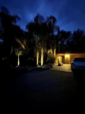 a house with palm trees and a driveway at night at 2 Homes by the River in Three Rivers