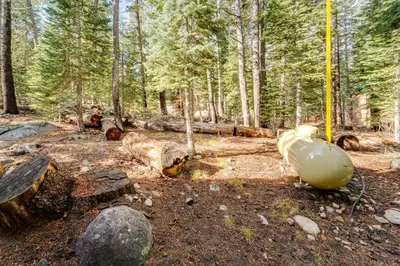a forest filled with trees and logs and a pipeline at Near Slopes, Donner Lake and Trails! Woodsy Retreat in Truckee